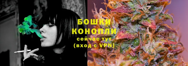 Шишки марихуана SATIVA & INDICA  Змеиногорск 